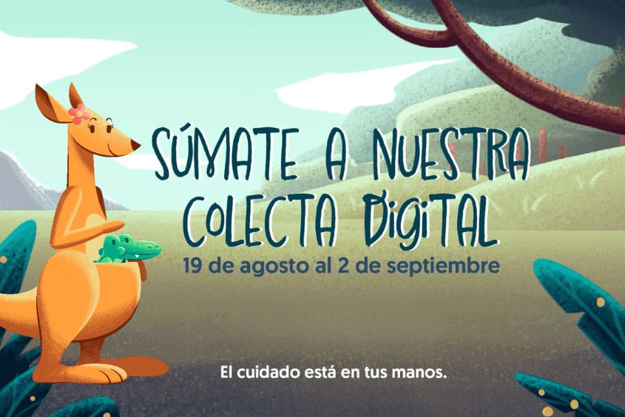 En este momento estás viendo Caso de Éxito: Fundación Chilena de la Adopción